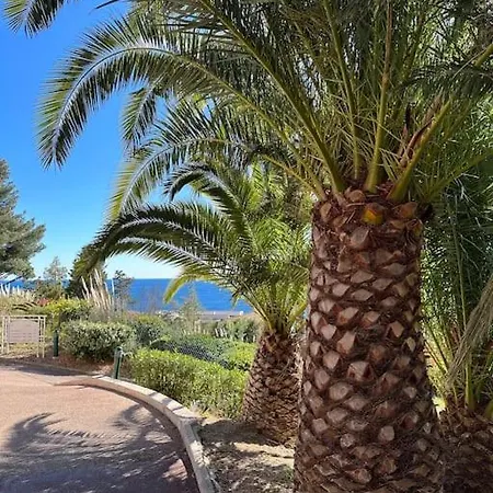 Beau T2 Avec Terrasse Vue Cannes